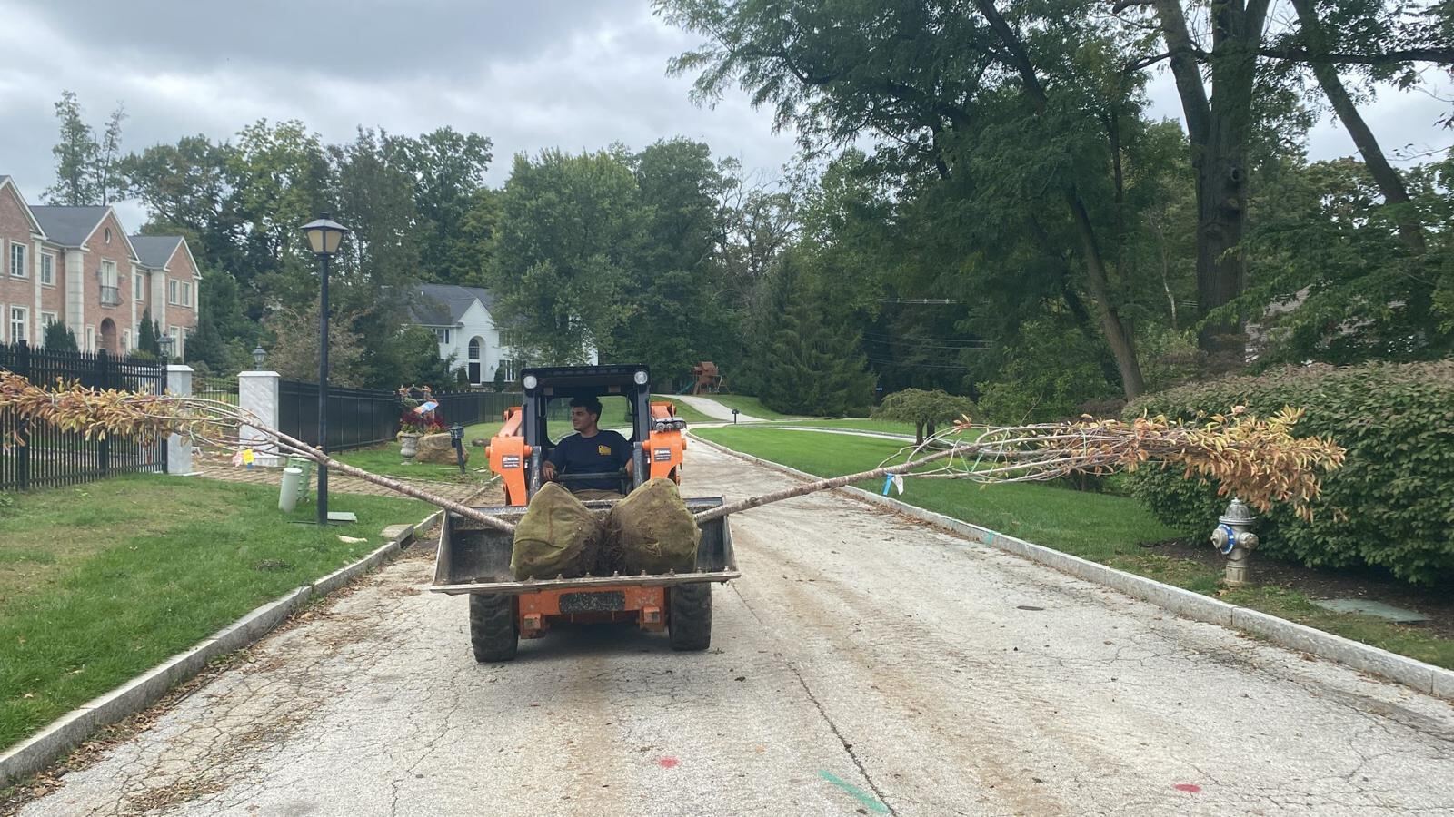 Landscaping and tree installation using a skid steer in Montgomery County by Affinity Contractors